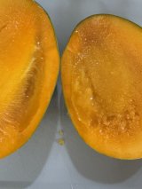 レビュー198-投稿画像1