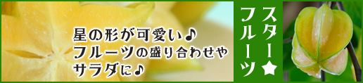 スターフルーツ