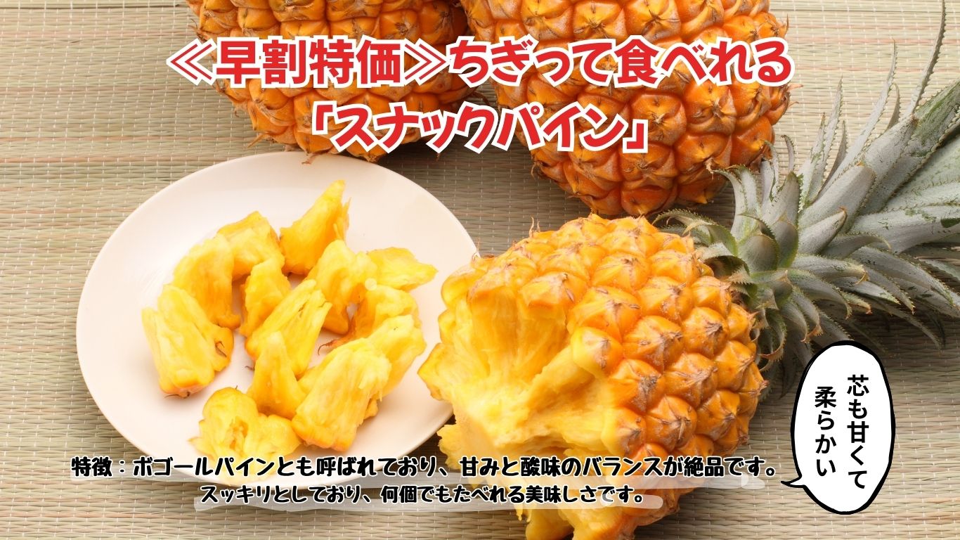 うちなんちゅ青果様用 取引用となります うちなんちゅ青果様用 取引用となります うちなんちゅ青果様用 取引用