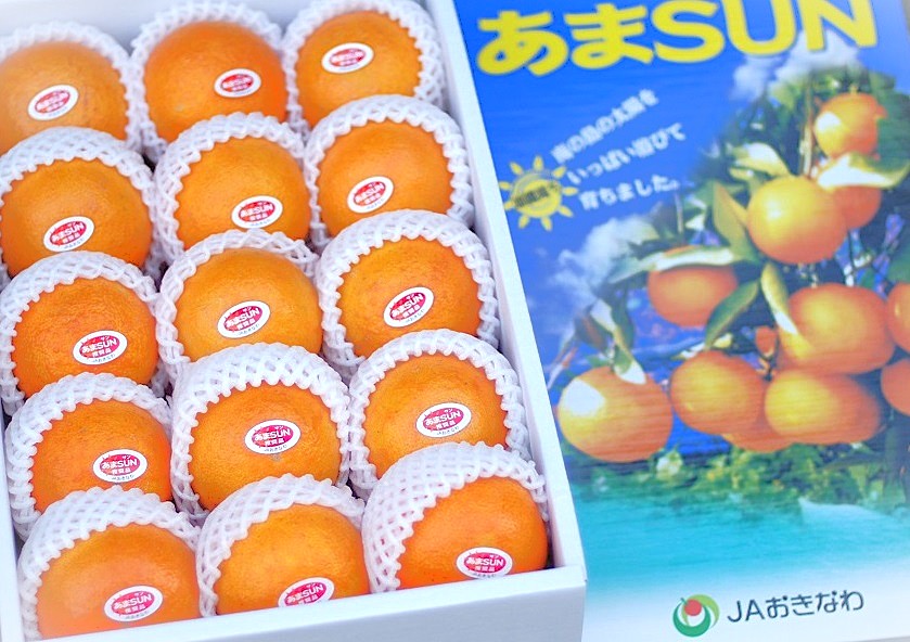 うちなんちゅ青果様用 取引用となります うちなんちゅ青果様用 取引用となります うちなんちゅ青果様用 取引用