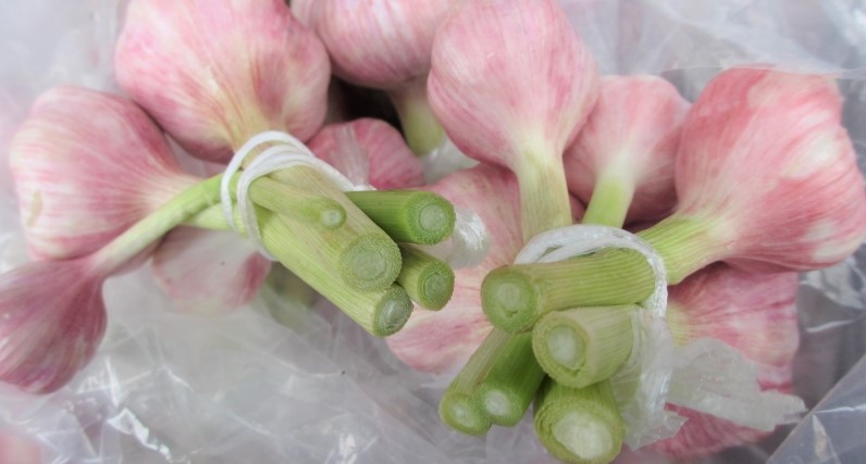 沖縄県産フルーツ 野菜専門店 たま青果 南国の特産品 果物 野菜通販