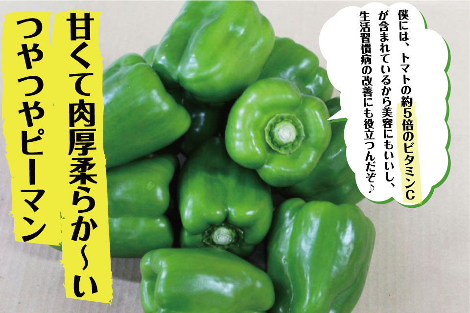 画像1: 沖縄県産 ビックピーマン 約1ｋｇ（6〜１5個） 甘くてモリモリ食べられる【数量限定/今なら20％割引中】 (1)