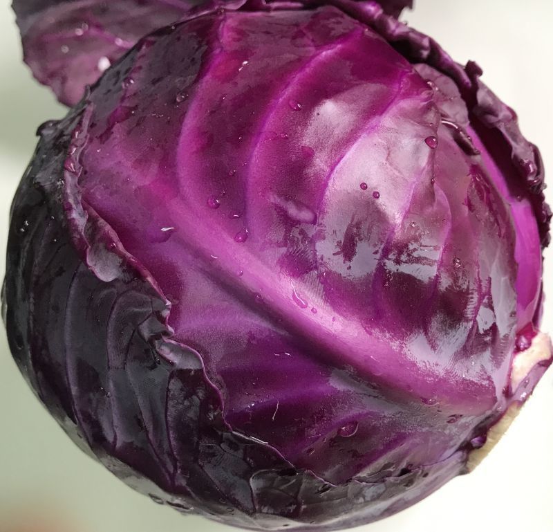 画像1: 超特価！紫キャベツ３kg（２〜５個）　ビタミンＣ、Ｋが豊富・抗酸化作用が強いアントシアニンも含む (1)