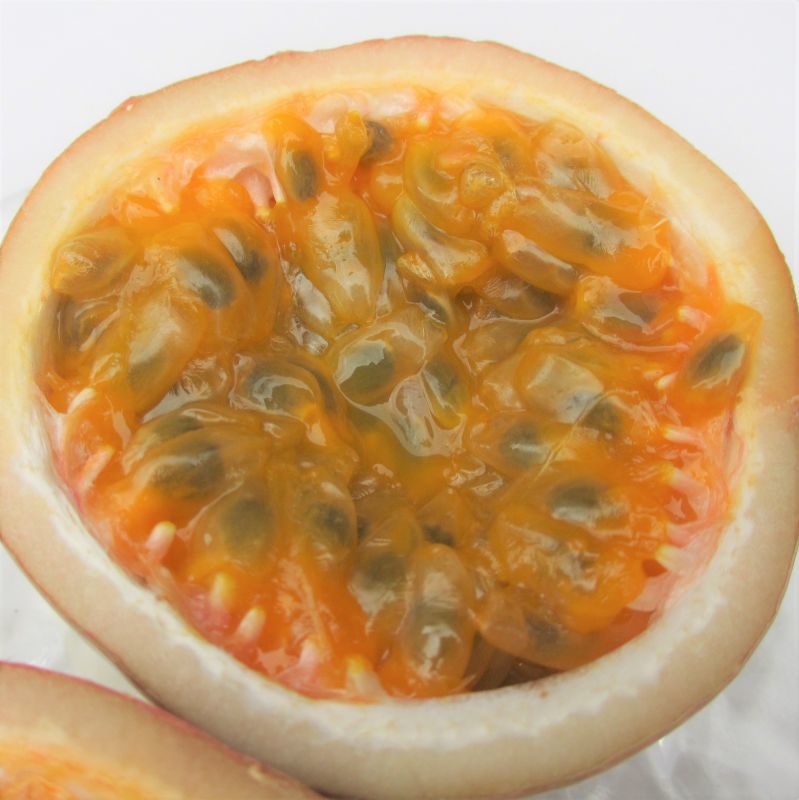 沖縄県産 パッションフルーツ トロピカルフルーツ カクテルにオススメ
