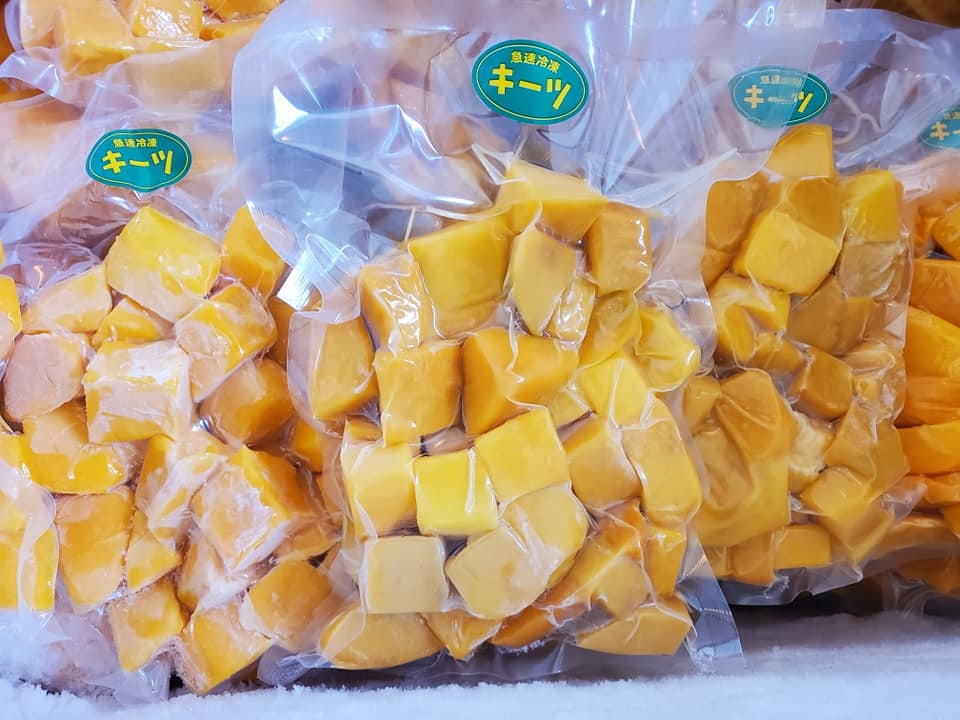 沖縄県産 フルーツ マンゴー 冷凍 通販 贈り物 お歳暮