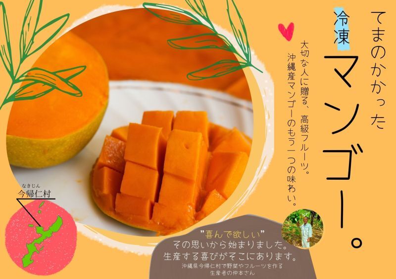沖縄県産・冷凍マンゴー5kg【送料込み！】