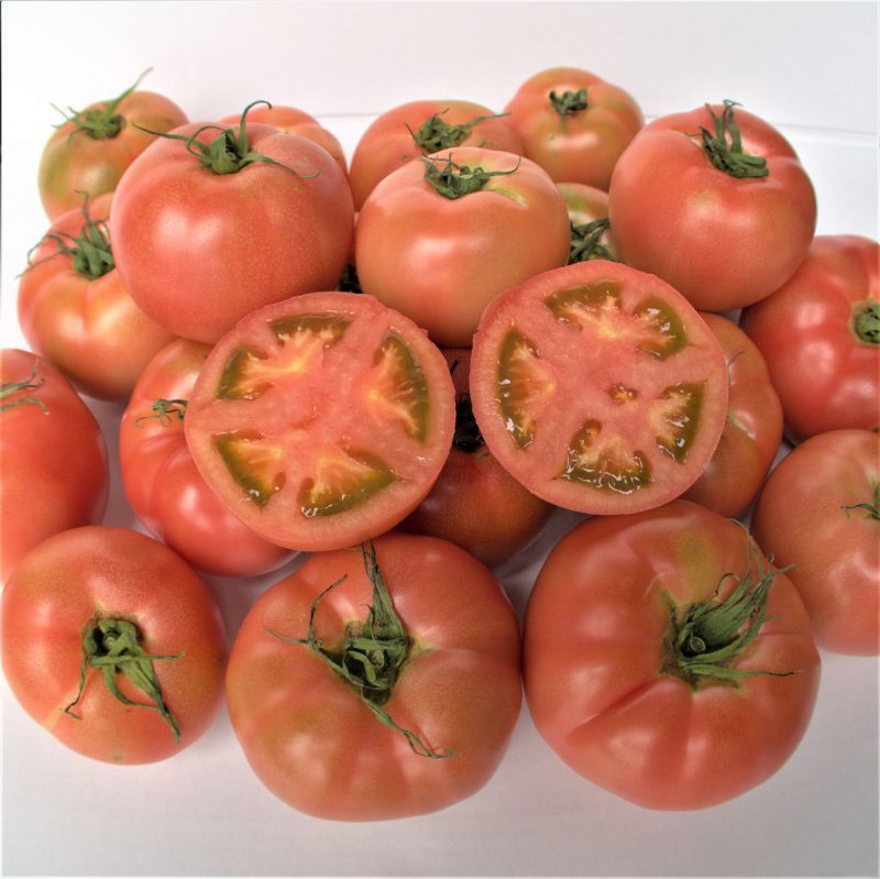 画像1: 沖縄野菜　完熟トマト約４ｋｇ　個数指定不可/サイズバラつきあります！ (1)