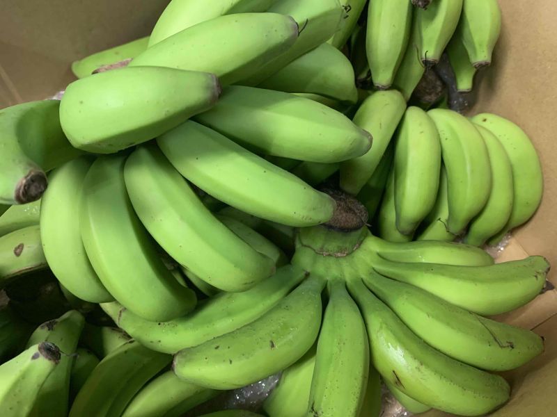 画像1: 沖縄の島バナナ約１kg　【常温発送】 (1)