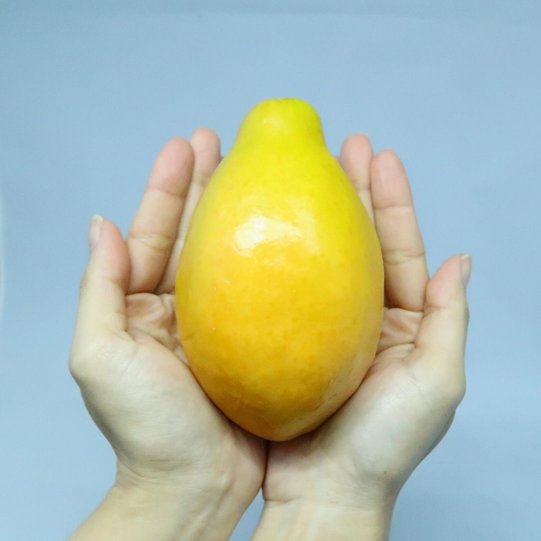 沖縄県産 フルーツ パッシフロラアラタ パッションフルーツ