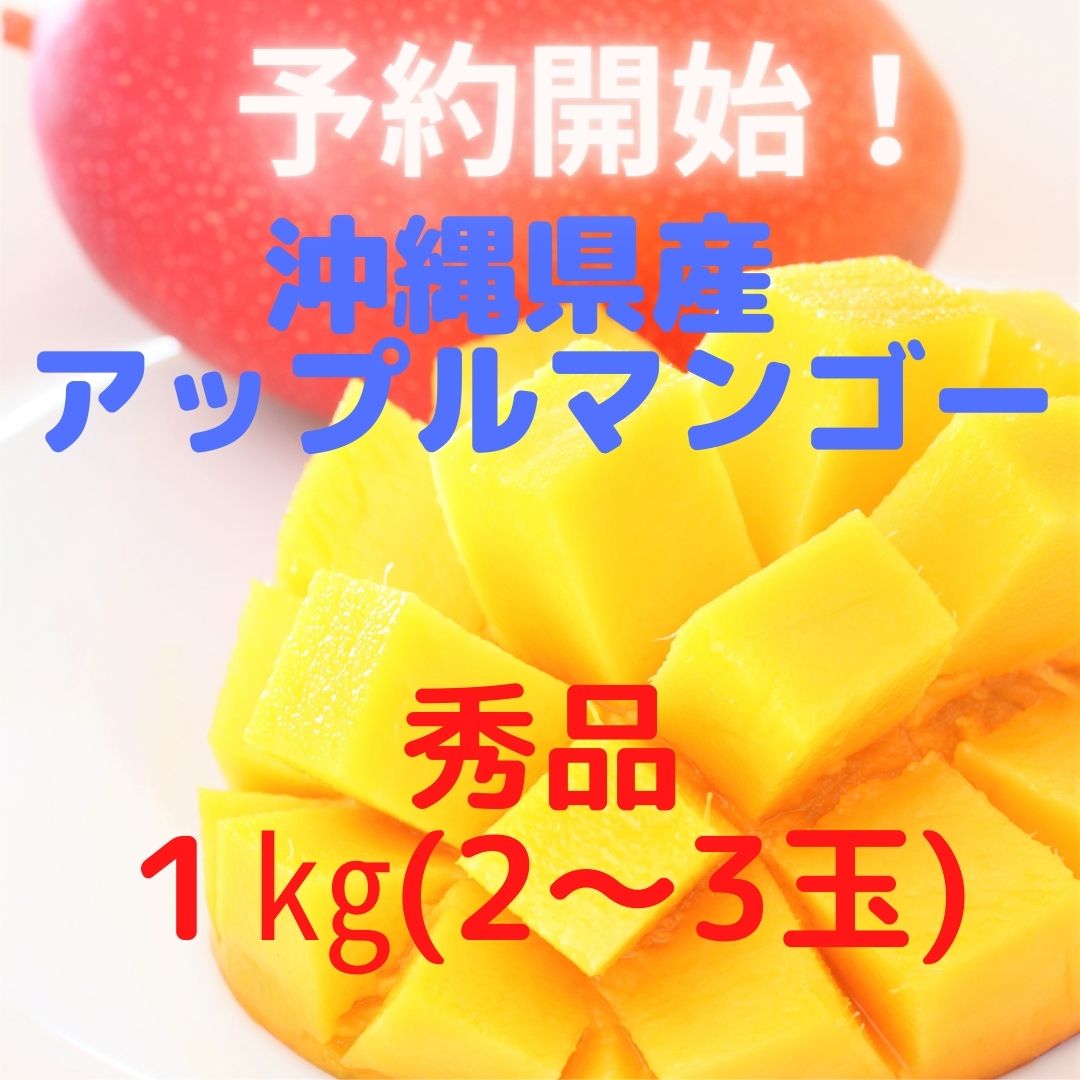 画像1: 【送料無料/秀品】沖縄産 完熟 アップルマンゴー１kg（2〜4玉）【発送期間7月〜8月中】予約販売 (1)