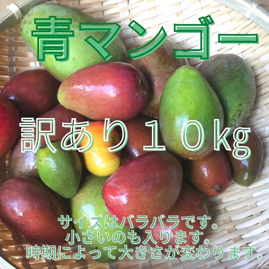 沖縄県産 青マンゴー10KG＋1kgのおまけ付き！お支払い明日15時まで