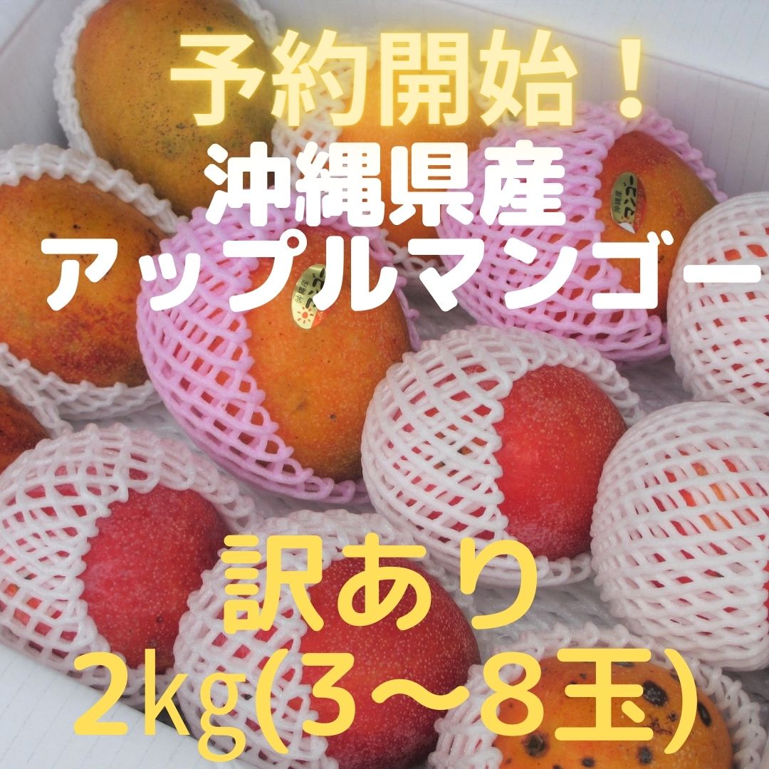 沖縄県産 完熟アップルマンゴー 訳あり２kg (3〜8玉)　☆送料無料☆【只今メルマガ会員15％割引中】