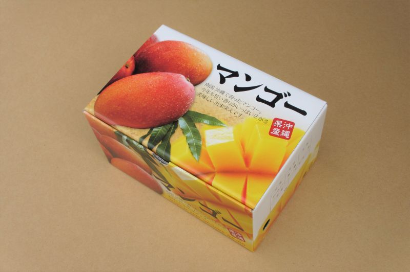 沖縄県産 フルーツ パパイヤ マンゴー お中元
