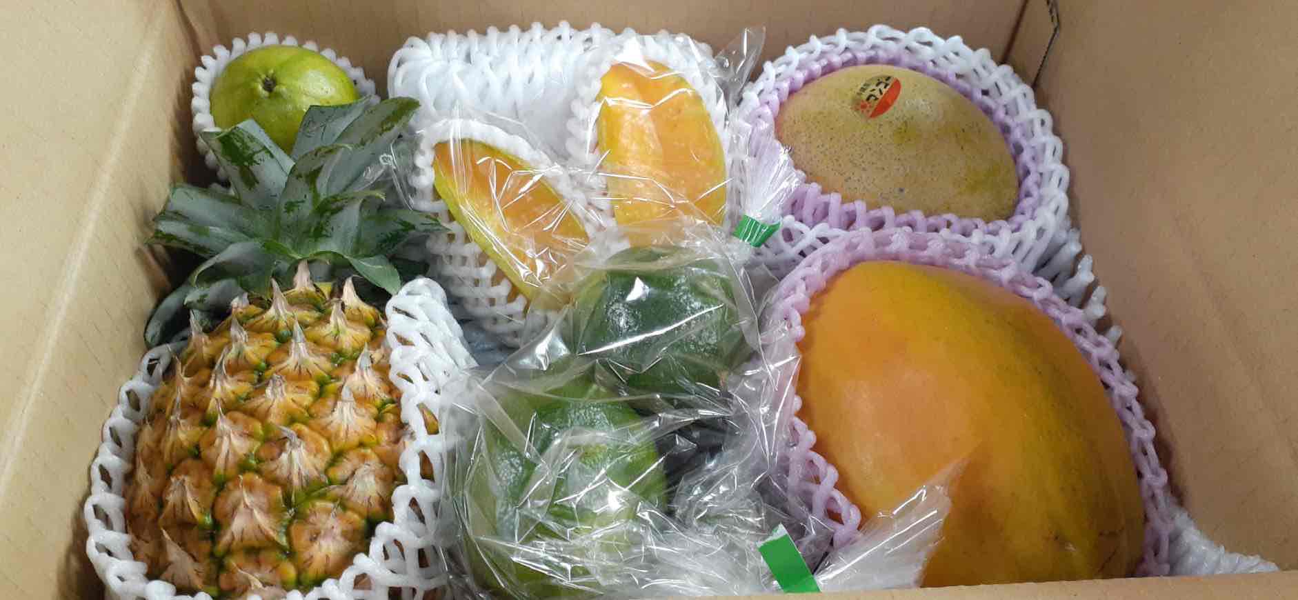 沖縄県産 果物 通販 贈り物 お歳暮 フルーツセット 旬 プレゼント