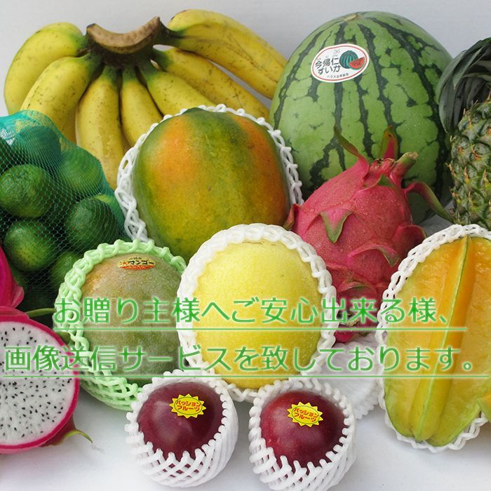 果物　プレゼント　沖縄県　フルーツセット　島やさい　フルーツ　ギフト用