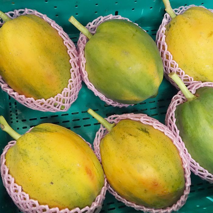 正規品! 沖縄本島やんばる産直 フルーツパパイヤ 1㎏ 無農薬果実