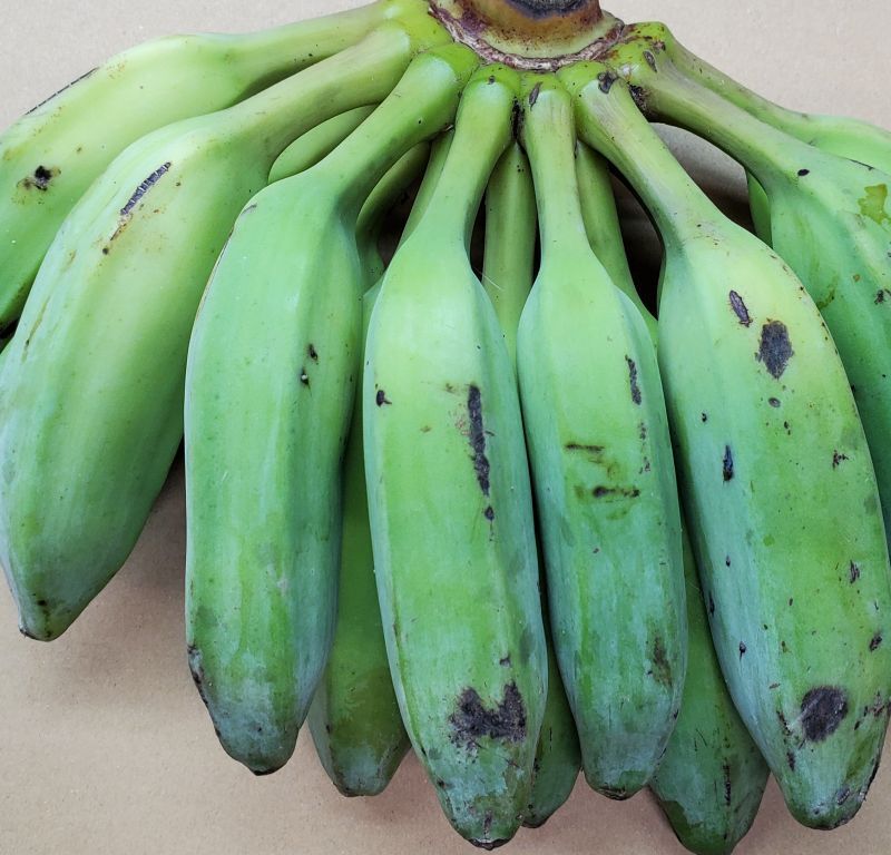 サイズ交換ＯＫ】 希少 沖縄産 アイスクリームバナナ 1キロ❗️国産 自然栽培 島バナナ
