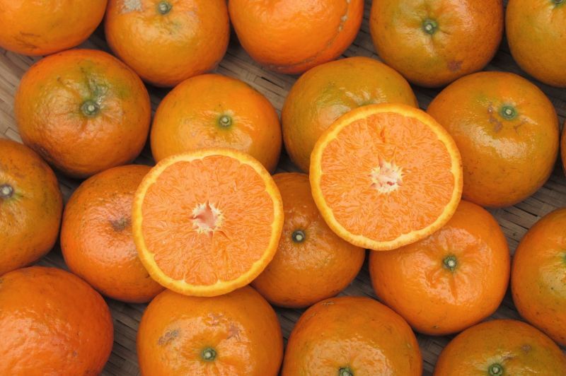 南国フルーツ　柑橘　オキナワ　甘い　たんかん　みかん　酸っぱい
