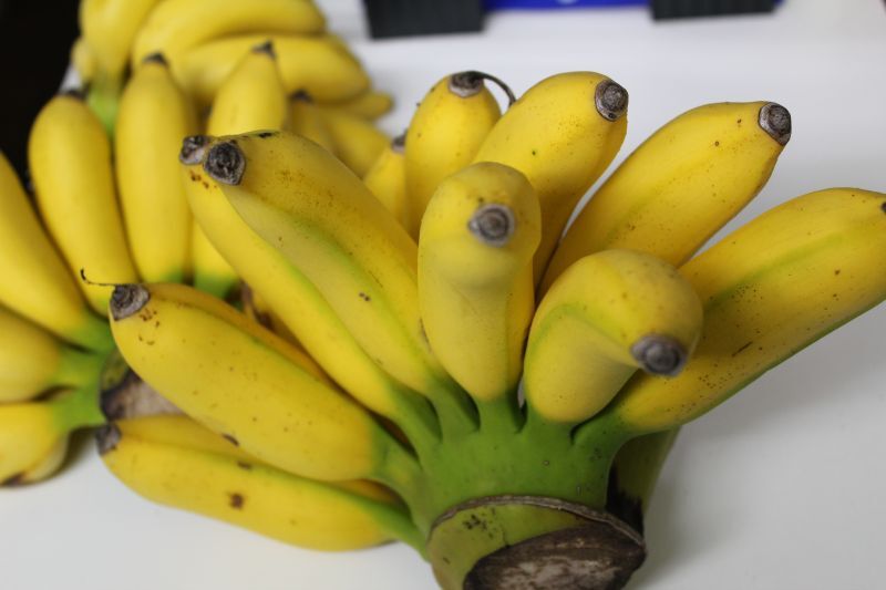 島バナナ　約1kg 沖縄産