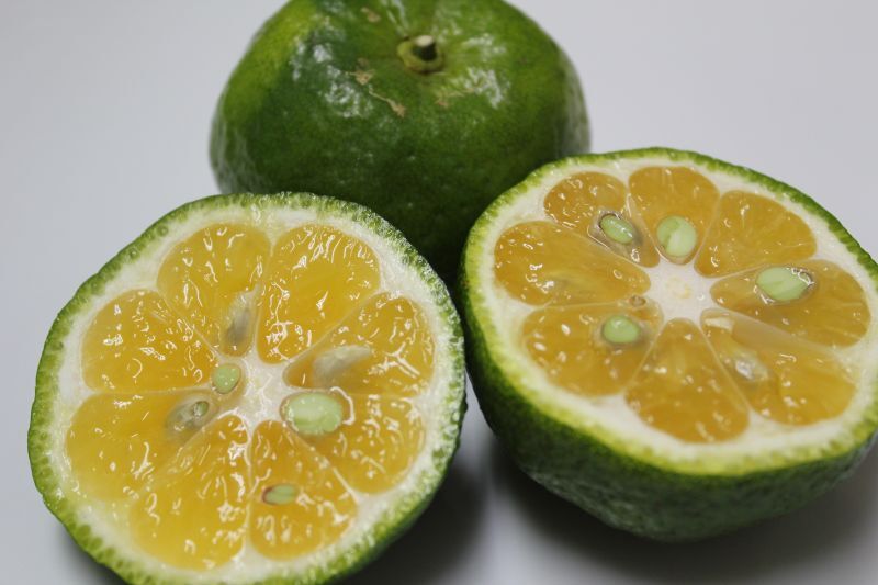 画像3: 沖縄県産 カーブチー 約1kg　 皮が分厚い！昔ながらの沖縄みかん　【発送9月〜11月】 (3)