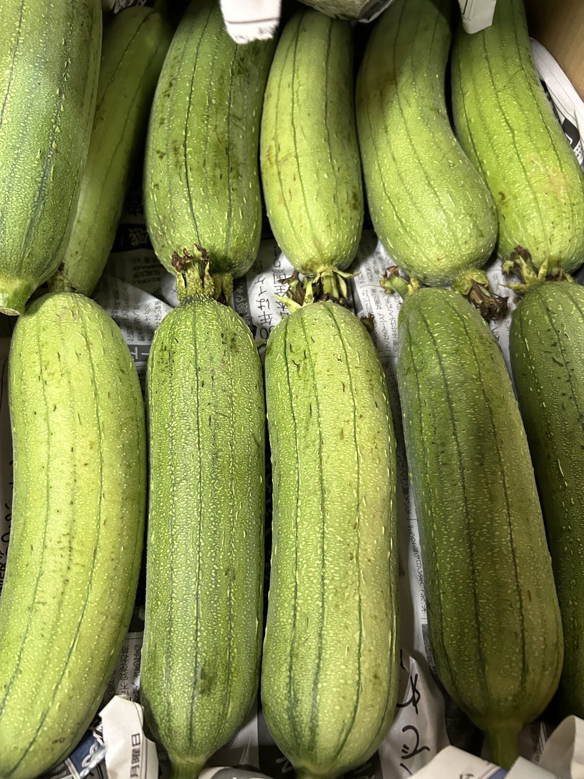 沖縄県産 野菜 へちま ナーベーラー