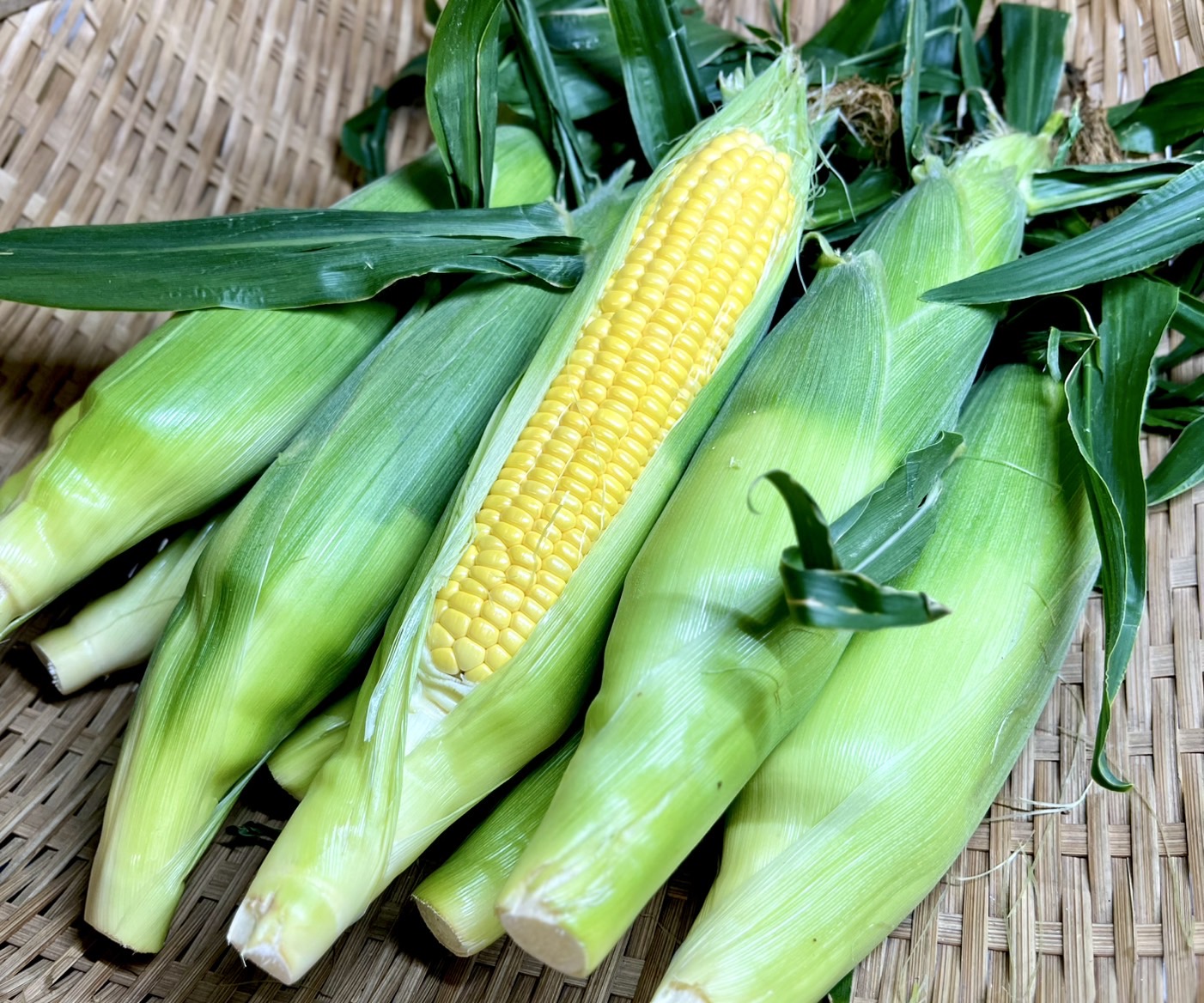 沖縄県産 フルーツ パパイヤ 野菜 酵素 ゴーヤー スイートコーン