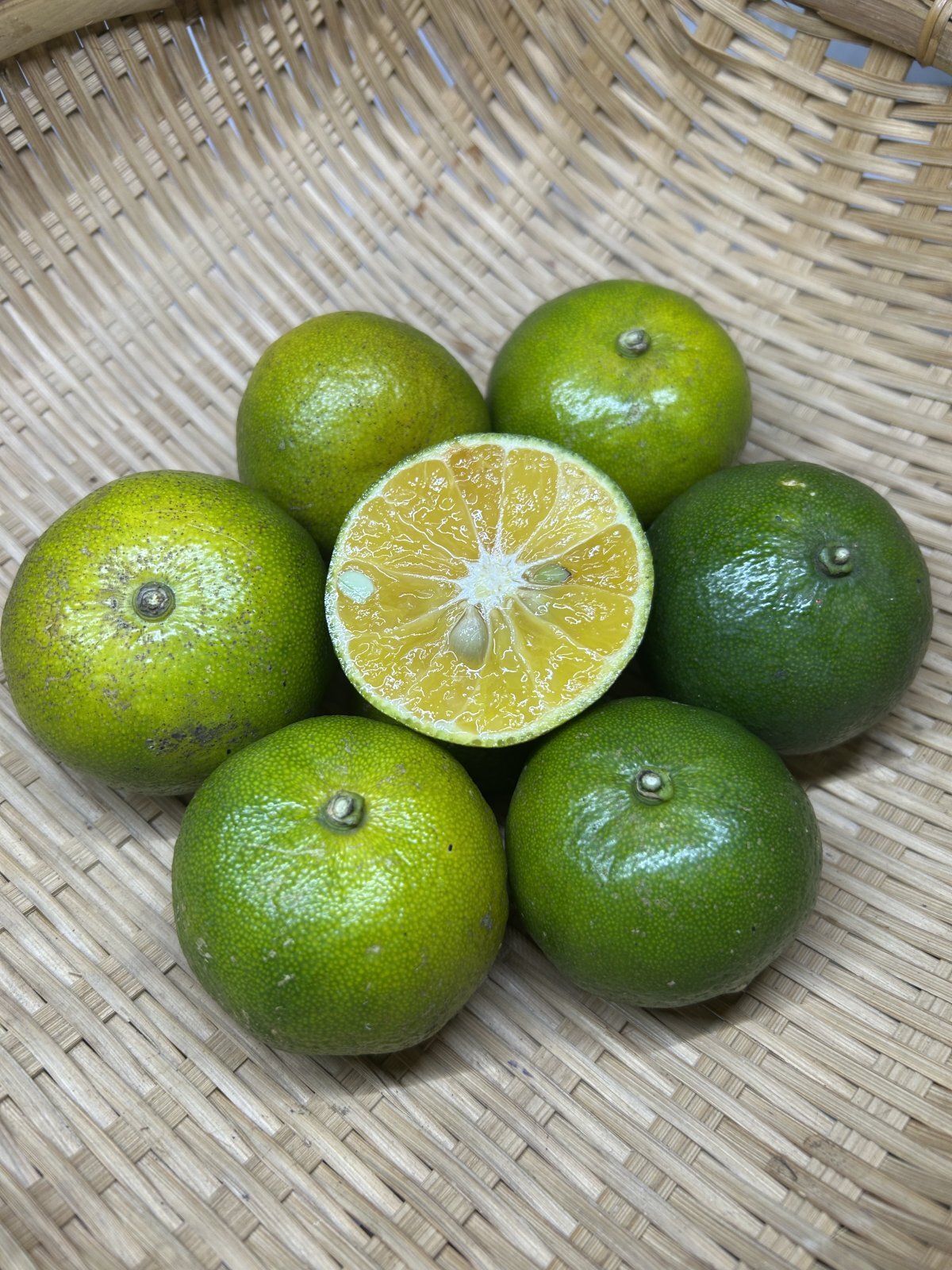 画像1: 【予約販売・希少商品】沖縄県産  オートー 約５kg 昔ながらの沖縄みかん【発送１月上旬】 (1)