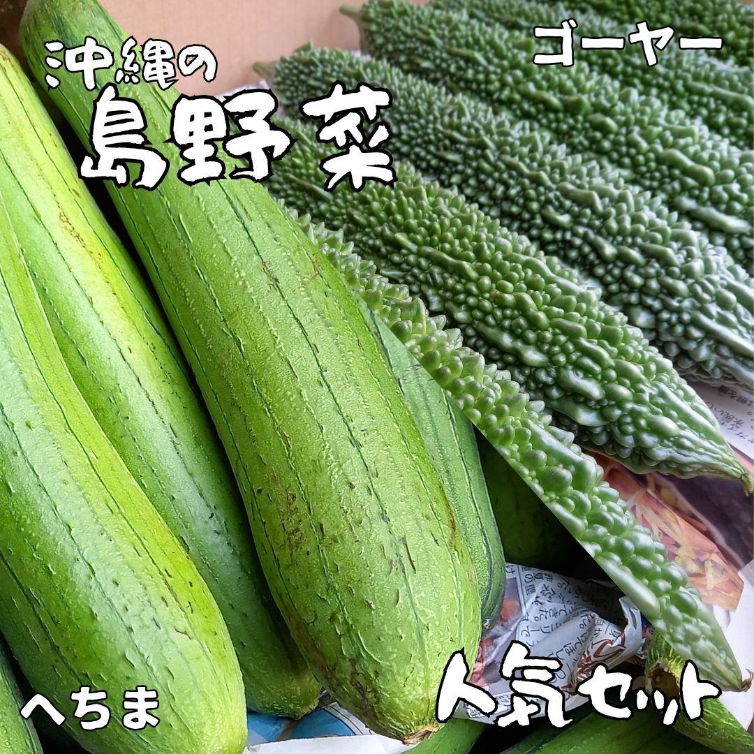 画像1: ☆新商品☆ゴーヤー 3本 / ヘチマ 3本 の人気セット 島野菜/沖縄県産/お得商品 (1)