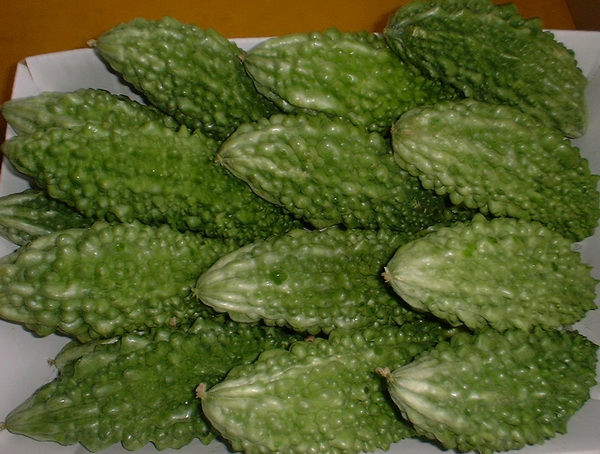 沖縄県産　フルーツ　酵素　アバシゴーヤー　野菜　ゴーヤー