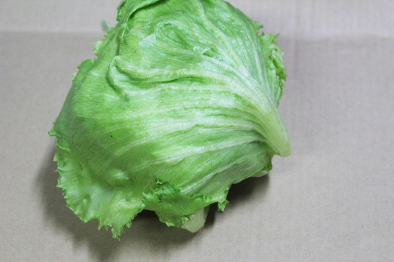 画像1: 沖縄野菜：沖縄県産レタス　２玉 (1)